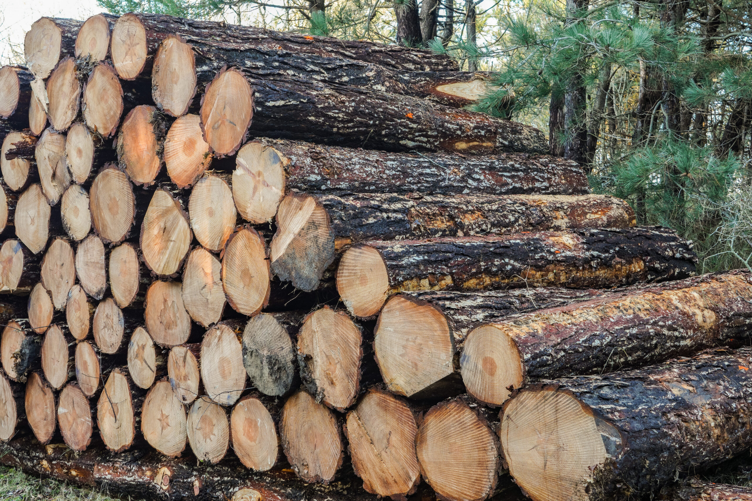 De oplossing voor biobased bouwen. Duurzaam bouwen met gegarandeerde prijzen. Zo verlagen we de uitstoot van CO2 en stikstof.