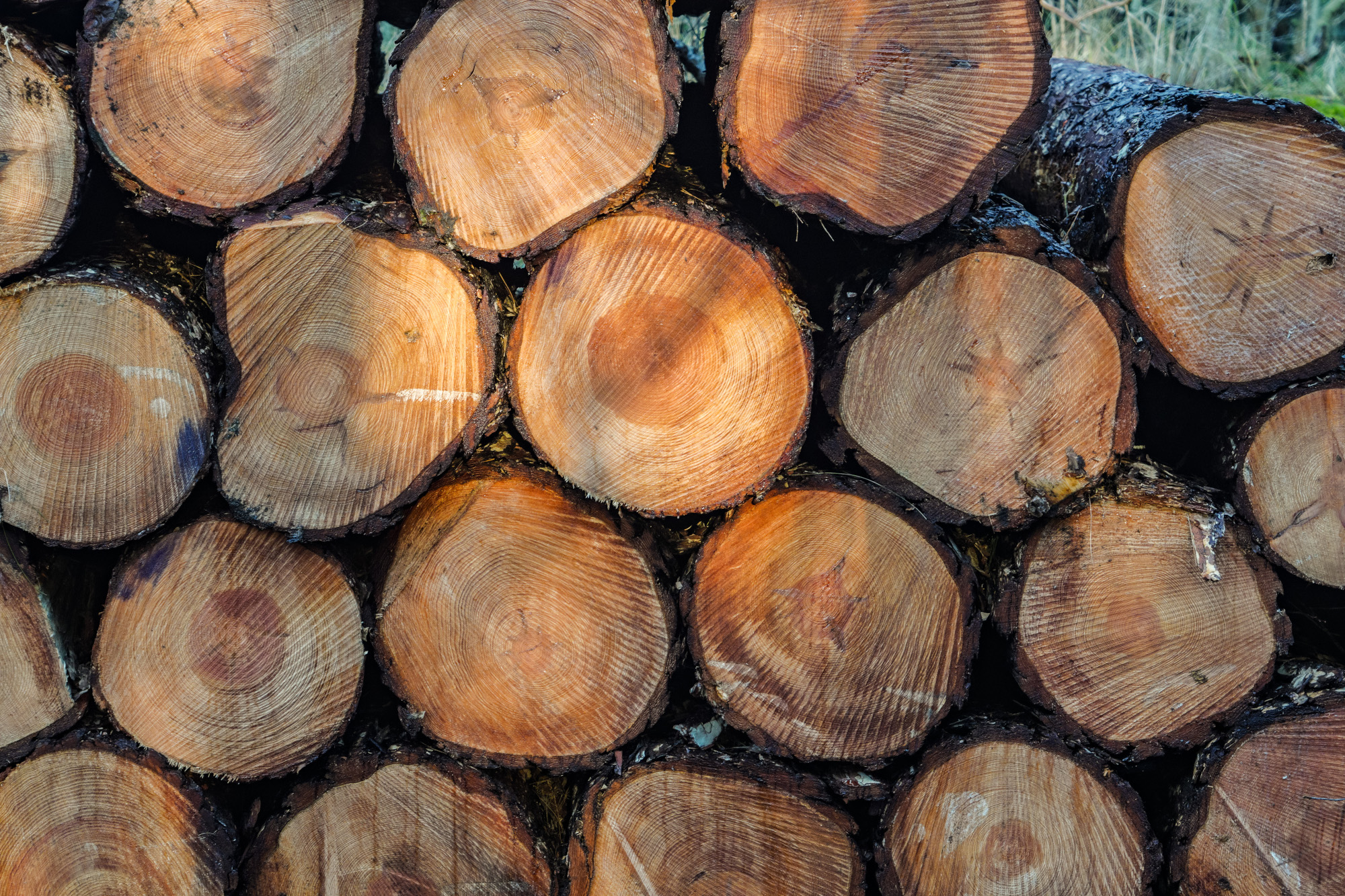 Meer weten? Neem contact met ons op!